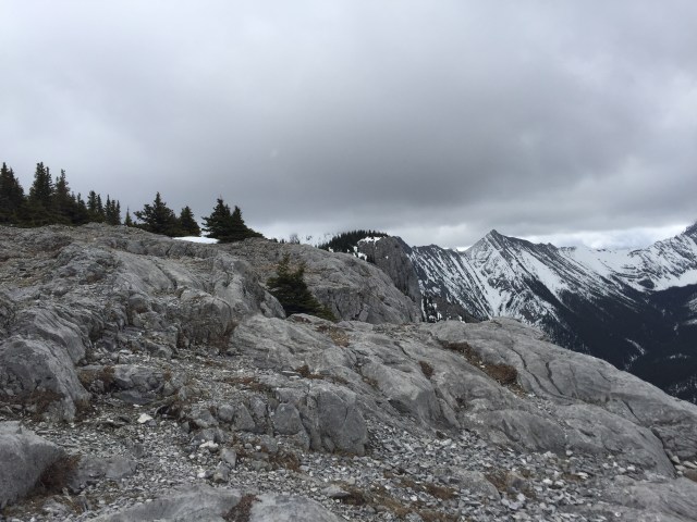 02 - Heart Mt West Summit