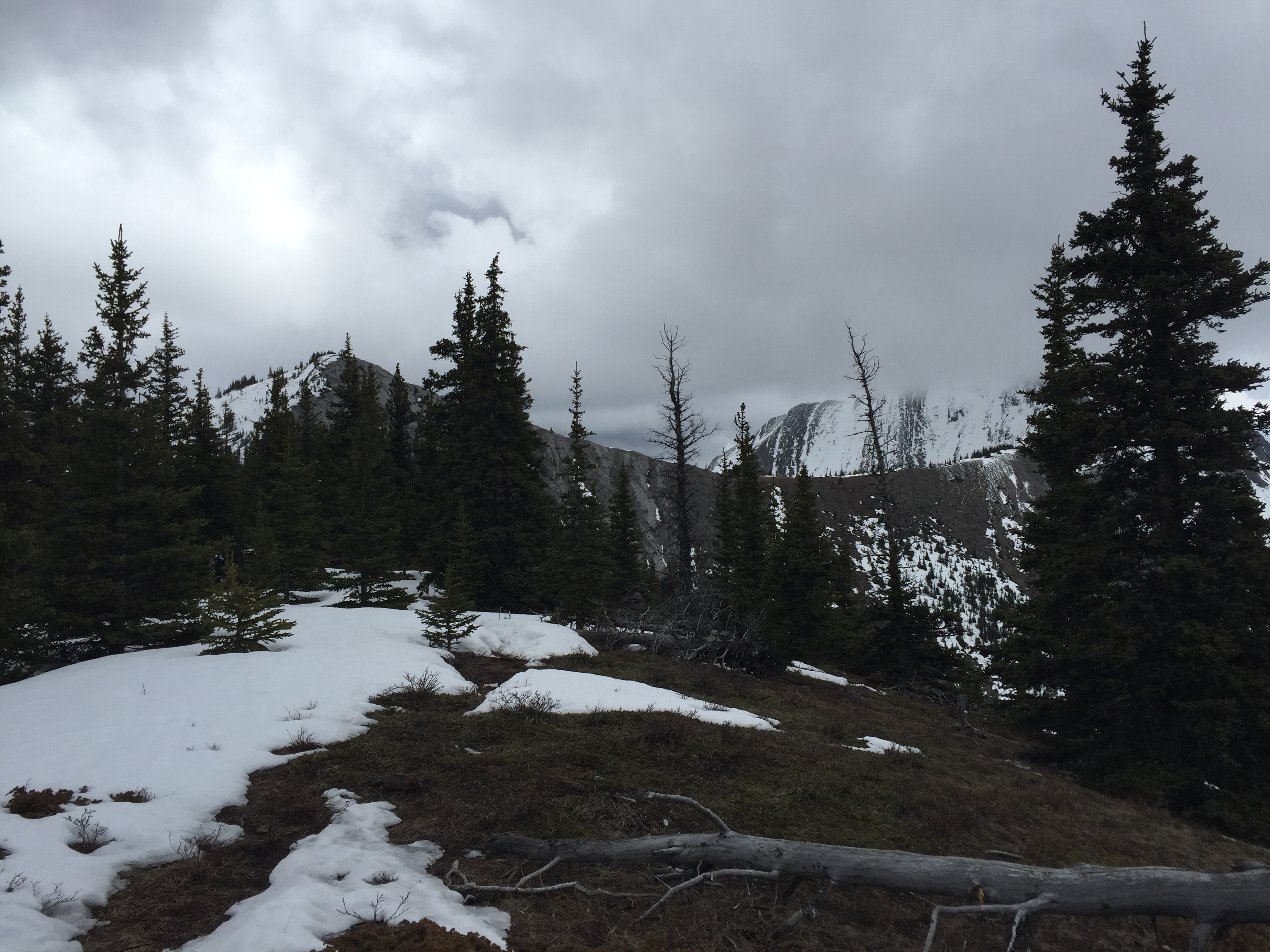 03 - Ridge to Grant MacEwan