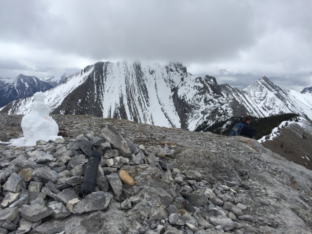 04 - Topped on MacEwan